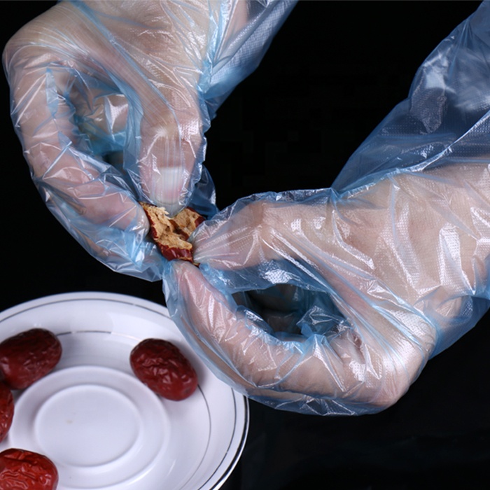 Cheap Price Disposable Plastic PE Food Gloves with FDA Certificate