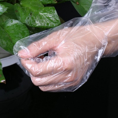 SGS Certificate Waterproof Large Size HDPE Disposable Plastic Gloves