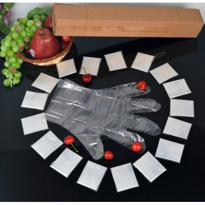 The Factory Directly Sells Blocked 100PCS/Bag Disposable PE Gloves